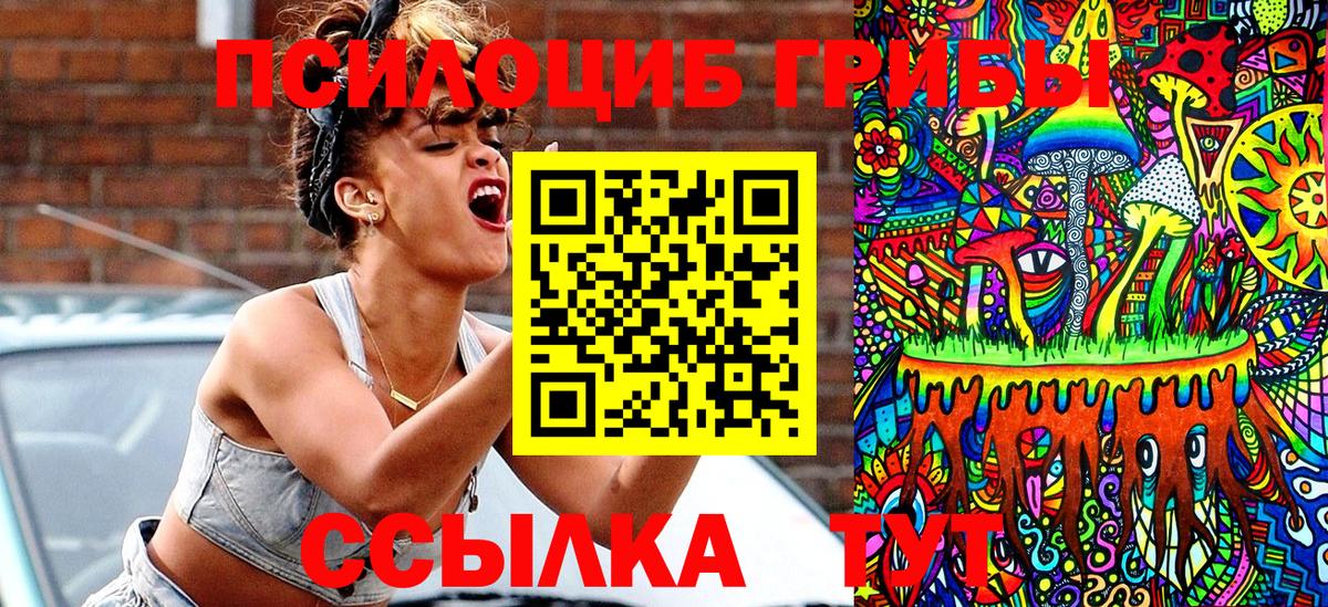 Тверь  Псилоцибиновые грибы мицелий  Вход с VPN 